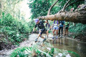 BIB: 
                            <button type="button" onclick="openModal(25469439)" class="btn btn-primary btn-sm float-right btn-popup" data-toggle="modal" data-target=".modal-high-quality">
                        <i class="fas fa-shopping-cart"></i> Add to Cart
                    </button>
                                            <button type="button" onclick="isThisMe(25469439, true)" class="btn btn-success btn-sm float-right btn-popup btn-isme hidden" data-toggle="tooltip" data-placement="bottom" title="นี่คือรูปของคุณใช่ไหม คลิกที่นี่เพื่อเอาเข้าอัลบั้ม">
                        <i class="fas fa-plus"></i> Add to album
                    </button>
                    <button type="button" onclick="isThisMe(25469439, false)" class="btn btn-warning btn-sm float-right btn-popup btn-isnotme hidden">
                        <i class="fas fa-ban"></i> Remove from album
                    </button>